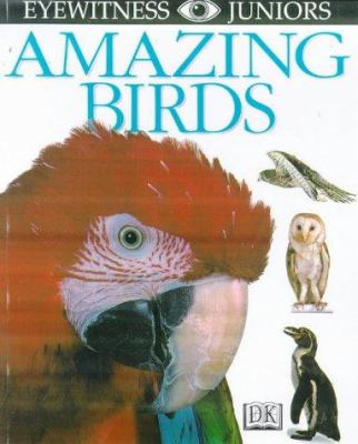 Amazing birds