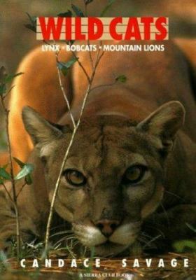 Wild cats : lynx, bobcats, mountain lions