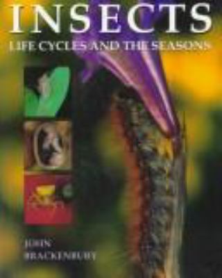 Insects : life cycles and the seasons