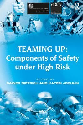 Teaming up : components of safety under high risk