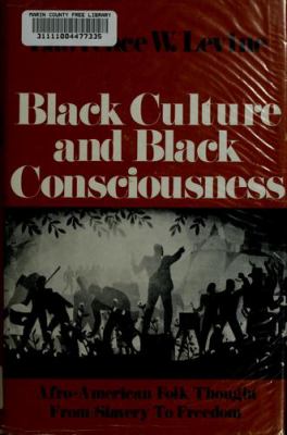 Black culture and black consciousness : Afro-American folk thought from slavery to freedom