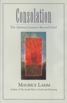 Consolation : the spiritual journey beyond grief