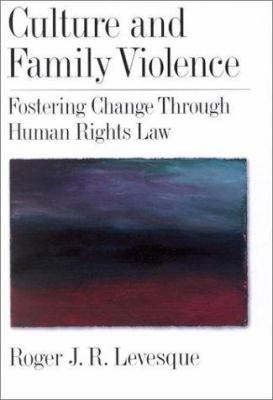 Culture and family violence : fostering change through human rights law