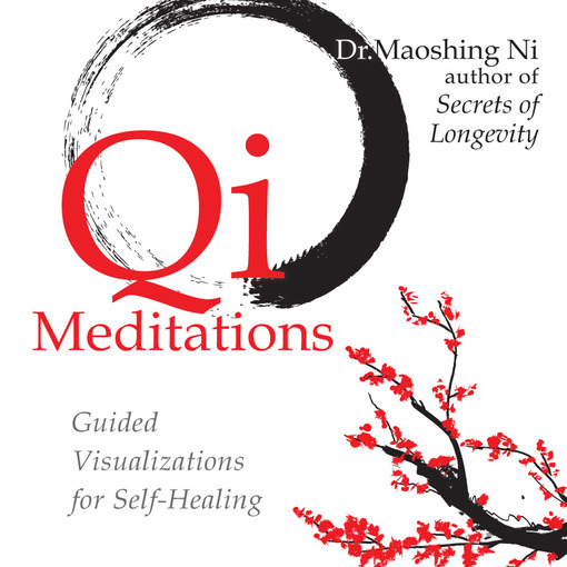 Qi meditations : guided visualizations for self-healing