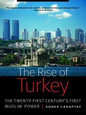 The rise of Turkey : the twenty-first century's first Muslim power